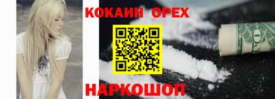 гашик Владимир