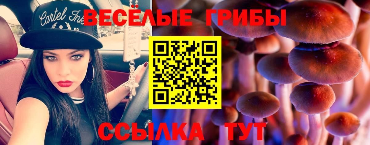 Псилоцибиновые грибы ЛСД  Вход с VPN  Псилоцибиновые грибы MAGIC MUSHROOMS  Нефтеюганск 